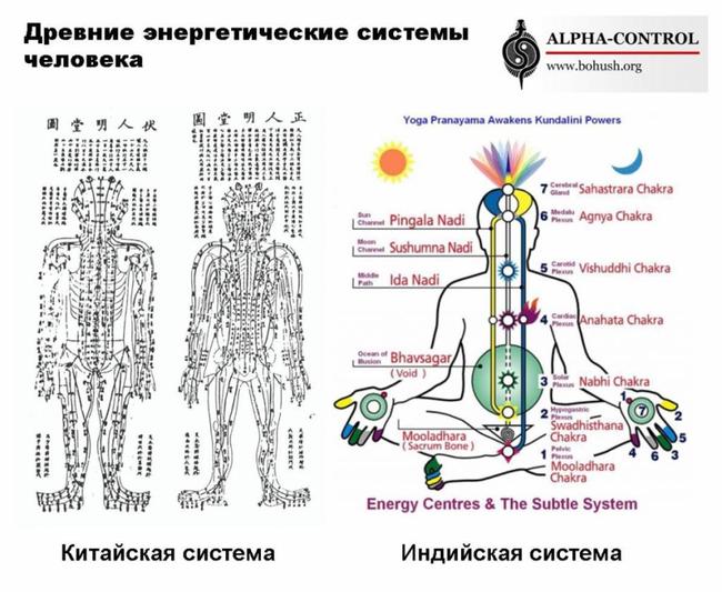 Энергопотенциал: как энергия влияет на нашу работу и личную жизнь